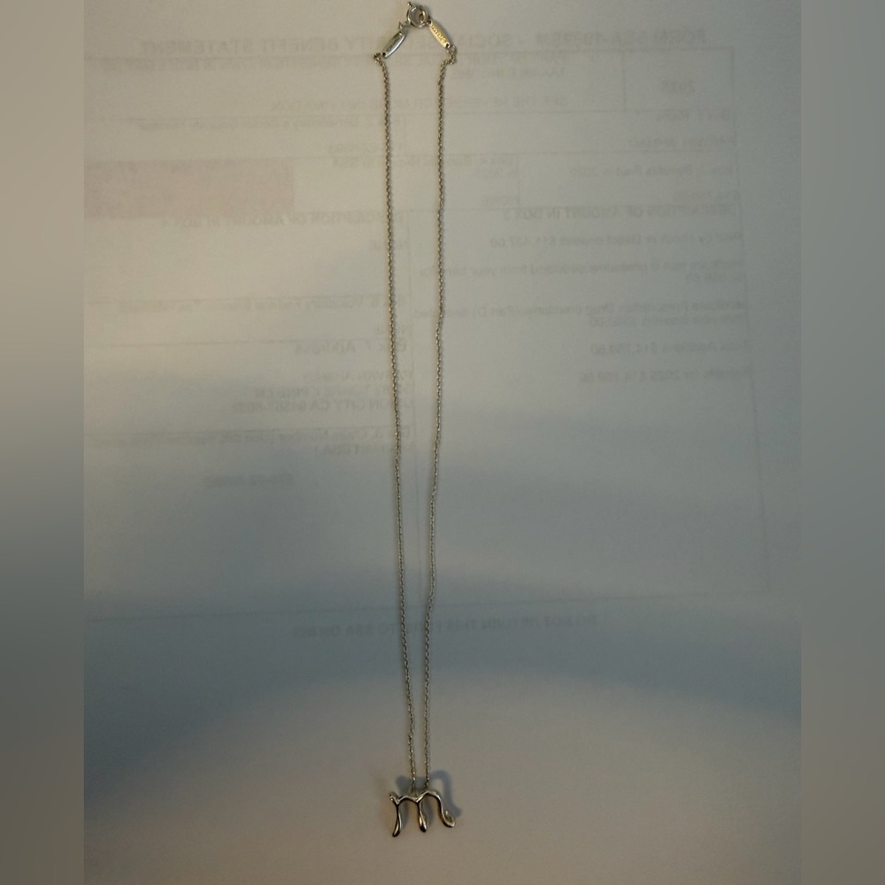 Tiffany & Co Elsa Peretti  Silver Initial Necklace